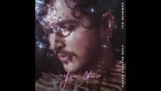 Oscar and the Wolf - Your Choice (Official Audio)