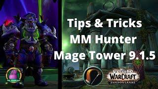 Tips & Tricks for "Thwarting the Twins" Mage Tower w/ Commentary | MM Hunter POV | Macros | 9.1.5