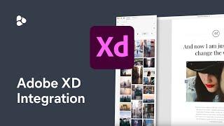 Frontify Plugin for Adobe XD