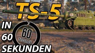 Der TS-5 in 60 SEKUNDEN - ShortsReview