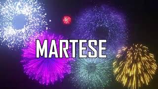  ALLES GUTE ZUM GEBURTSTAG MARTESE   