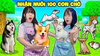 SAMMY VÀ MÈO SIMMY NHẬN NUÔI 100 CON CHÓ BỊ BỎ RƠI VÀ CÁI KẾT