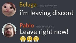 If Beluga was not on Discord...