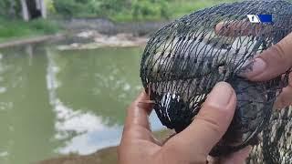 Mancing Di Bendungan Target Ikan Sidat Dan Nila Babon | OM PETUALANG