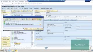 SAP BW Info objects Attributes