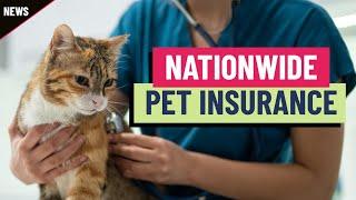 Nationwide drops 100,000 pet insurance policies as costs rise