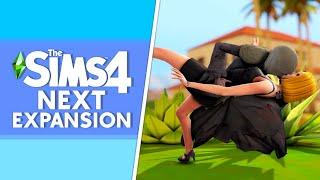 NEW SIMS 4 EXPANSION PACK LEAK! EP 17???