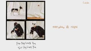 Colde - Your Dog Loves You (Feat. Crush) lyrics (HANGUL/ROMANIZATION/ENGLISH)