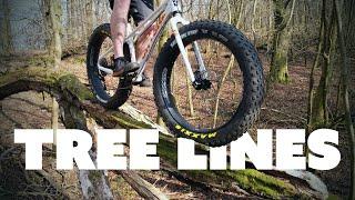 Tree Lines : Fat Bike Trials