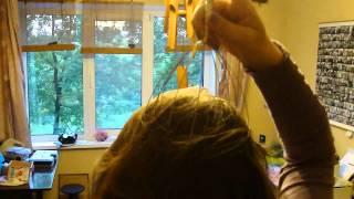 Manual Head Massager in action from tinydeal