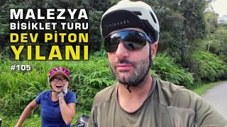 Devasa Piton Yılanı Gördük (Malezya Bisiklet Turu – 5) #bisiklet #bisikletturu #malezya