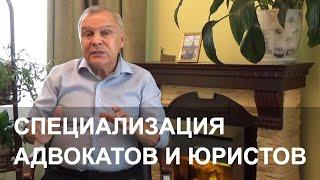 Специализация адвокатов и юристов