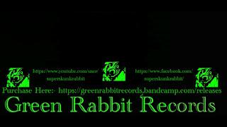 I Dont Know Aciid - Aciid Twins - Green Rabbit Records