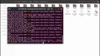 How to upgrade odoo module from command line