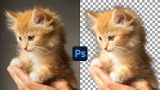 Photoshop Tutorial - EASIEST Trick for Perfect Selections