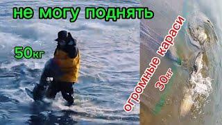 50 кг за один заброс. ВТОРОЙ ЗАБРОС КАРАСИ 15 ШТУК. Кастинговая сеть. #fishing #рыбалка #낚시피플