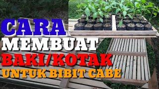 CARA MEMBUAT BAKI/KOTAK UNTUK TEMPAT PENYEMAIAN CABE #kotakcabe #semaicabe#kotaksemaicabe