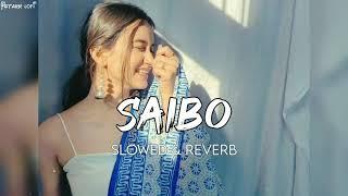 Saibo [Slowed+Reverb+Lofi] | Shor in the city | Ystarr lofi #slowed #reverb #viral #ystarrlofi