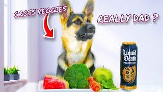My Dog Eats Vegetables | ASMR