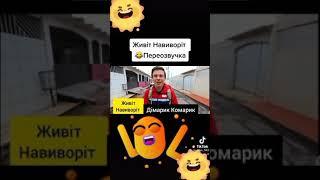 Живіт Навиворіт