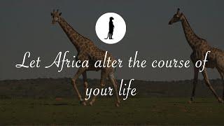 Experience Africa