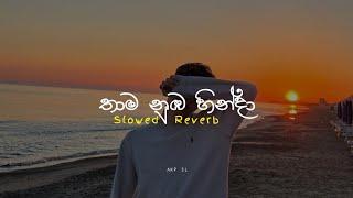 Thama Numba Hinda | තාම නුඹ හින්දා | Slowed + Reverb | 