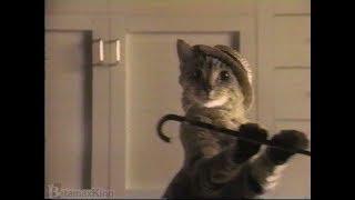 Meow Mix Dancing Cat Commercial 1992