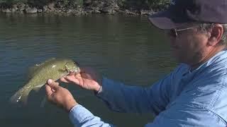 Smallmouth Bass Fly Fishing Shorelines