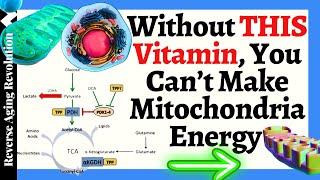 WHAT Blocks You from Making Mitochondrial Energy??