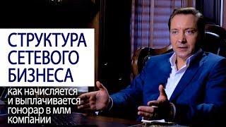 СТРУКТУРА СЕТЕВОГО БИЗНЕСА как начисляется и выплачивается гонорар в млм компании (Роман Василенко)