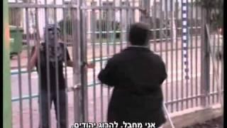 אבי - מחזור י' צביה אשקלון