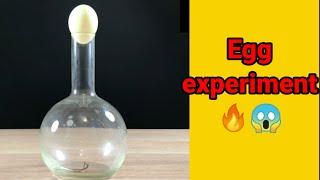 #shorts || egg experiment || crazy tricks