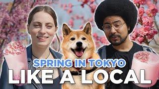 Exploring English Friendly & LOCAL Spots in TOKYO ️ (Spring Edition - Shimokitazawa)