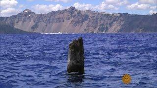 On the Trail: Crater Lake's Old Man