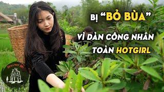 Thẫn thờ với vẻ đẹp của sơn nữ Hà Giang hái thuốc