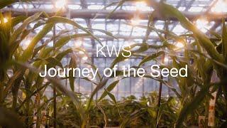 KWS Journey of the Seed