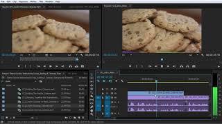 Adding a Cutaway Shot in Adobe Premiere Pro || Adobe Premiere Pro Editing