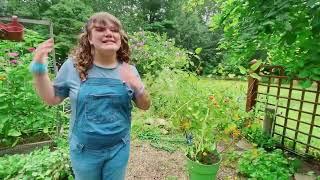 Miss Cookie teaches Layla about having a garden!