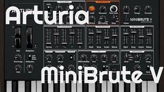 MiniBrute V Software Synth by Arturia (No Talking)
