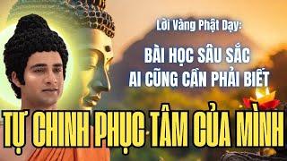 Lời Phật Dạy: Bài Học Sâu Sắc Ai Cũng Cần Phải Biết - Tìm Kiếm Sự Thanh Tịnh Ngay Trong Tâm!