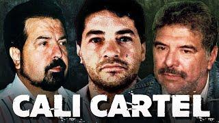 The Rise and Fall of the Cali Cartel : Its Wealth and Power