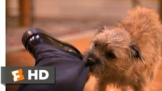 There's Something About Mary (3/5) Movie CLIP - Dog Fight (1998) HD