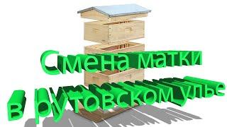 Профессор Кашковский: Смена маток в рутовских ульях