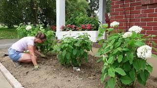 EXTREME FRONT YARD MAKEOVER // Removing an Overgrown Landscape & Creating a Low Maintenance Garden