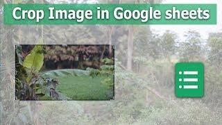 How to Crop or Cutting Image to Sheets in Google Spreadsheet