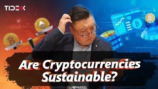 Are Cryptocurrencies Sustainable?
