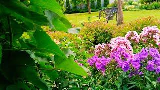 ЯРКАЯ РЕЛАКС ПРОГУЛКА по САДУ В ИЮЛЕ #garden #сад #цветы #дом