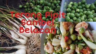 Cara Masak Terong Pipit Sambel Belacan,MANTUL#masakgabiasa#mamajase#masakmakanjalansedekah