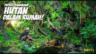 Menuju Finishing Hutan Hujan Buatan // part 2