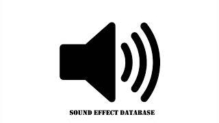 Scoring Sound Effect